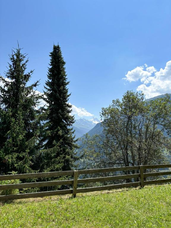 Vue de montagne depuis la retraite